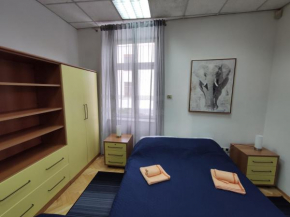 Apartment Potok